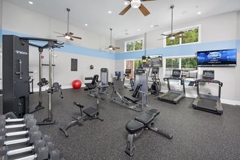 A spacious gym with a variety of equipment including treadmills, weights, and exercise machines.